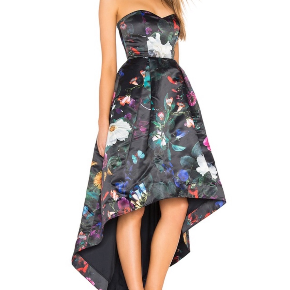 PARKER BLACK- Roxanne Dress in Monarch Garden